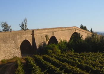 a stone bridge overlooking a vineyard in Languedoc, France
