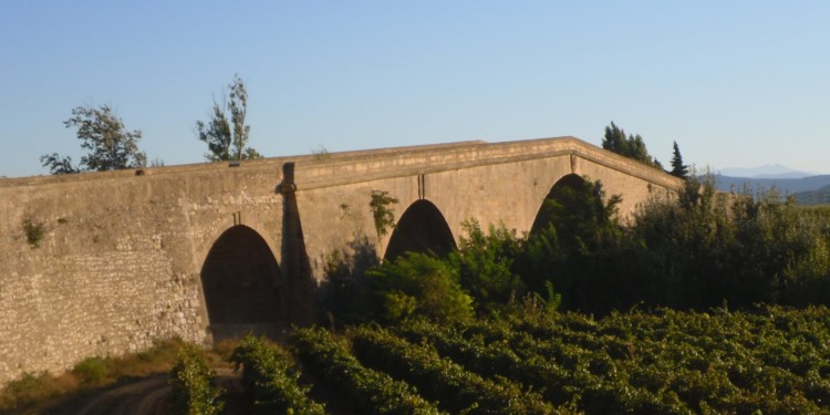 a stone bridge overlooking a vineyard in Languedoc, France