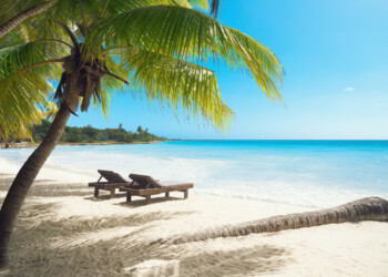 Best Options To Establish Residency In Another Country