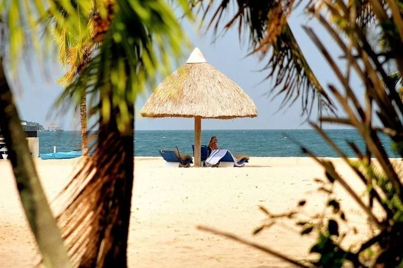 palapa beach in placencia