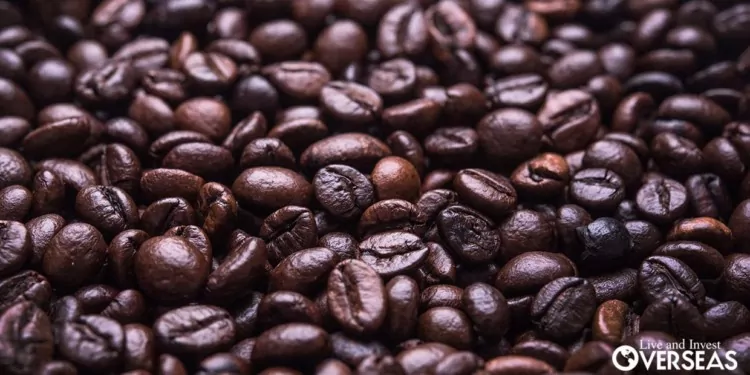 The Best coffee can be found in Coffee Plantation Tours In Boquete, Panama.