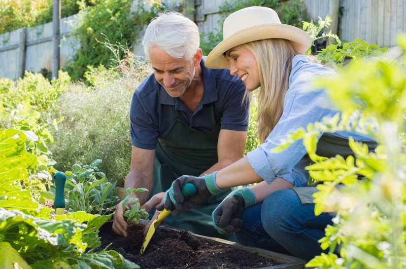 senior couple working in their garden