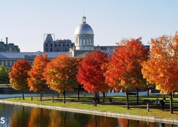 Austum trees with orange leaves in front of a historic Canadian domed building