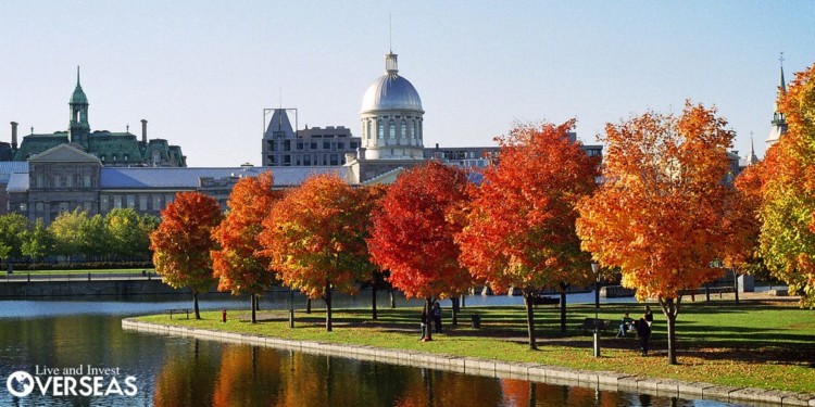 Austum trees with orange leaves in front of a historic Canadian domed building