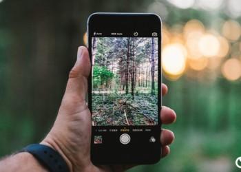 A man holds up his phone to take a picture of trees