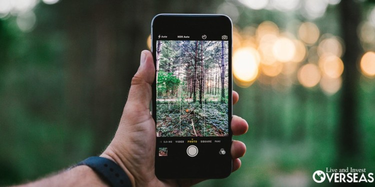 A man holds up his phone to take a picture of trees