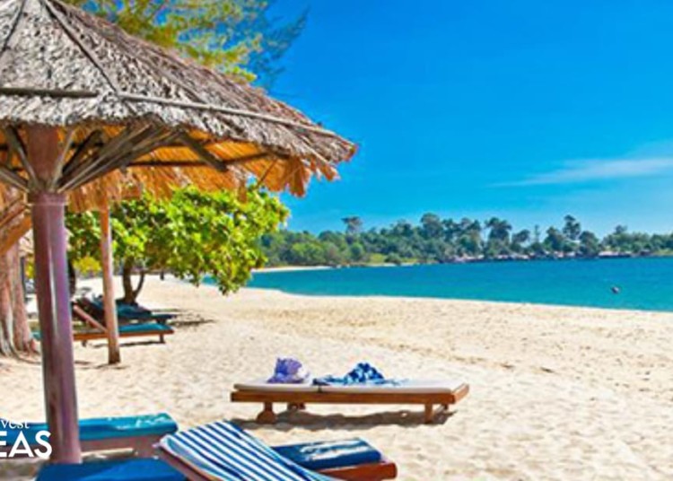 blue lounge chairs with umbrellas on the beach