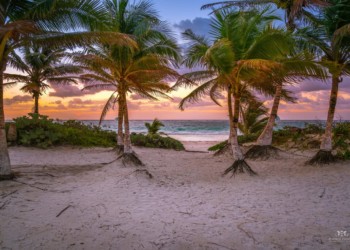 Playa Del Carmen Main Image