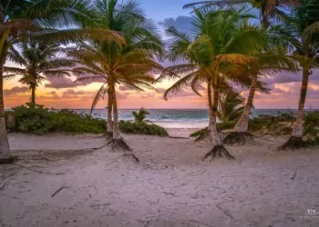 Playa Del Carmen Main Image