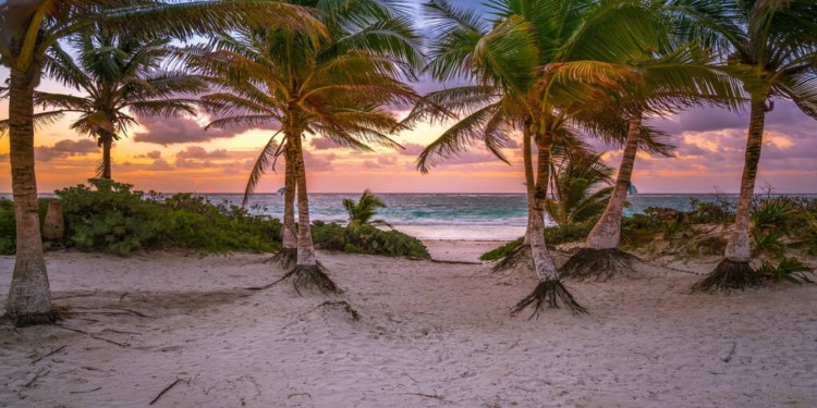 Playa Del Carmen Main Image