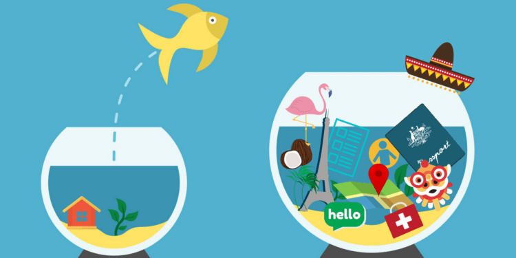 A fish jumping out of a bowl and into a bigger bowl filled with stuff from across the world, used to signify moving to another country.