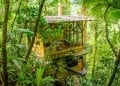 Treehouse big enough to live in. Situated in the Costa rican Jungle amongst the treetops