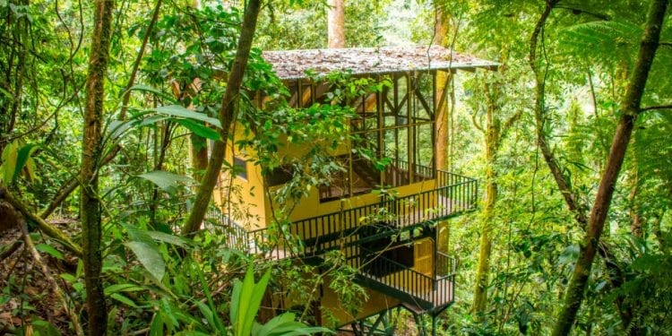 Treehouse big enough to live in. Situated in the Costa rican Jungle amongst the treetops