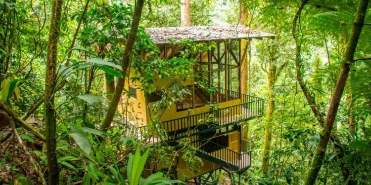 Treehouse big enough to live in. Situated in the Costa rican Jungle amongst the treetops