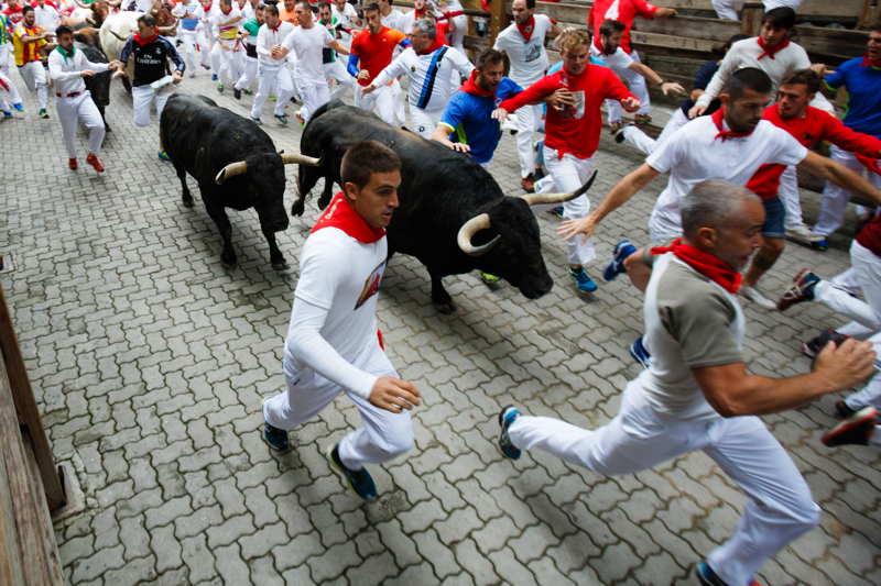 bull run san fermin festival