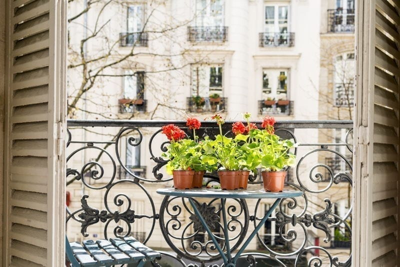paris balcony spring time