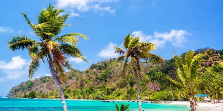 Palm trees in front of green sea in Panama