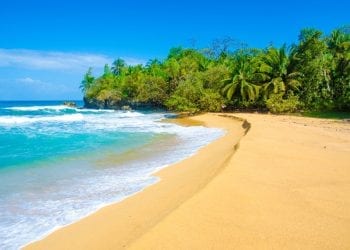 a tropical beach in panama. Expat Beach Town Panama