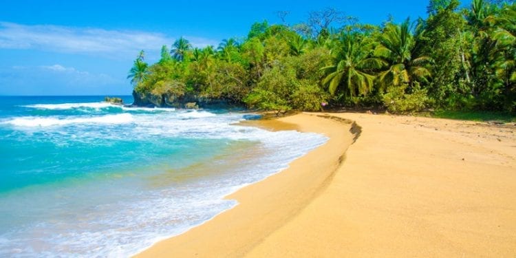 a tropical beach in panama. Expat Beach Town Panama