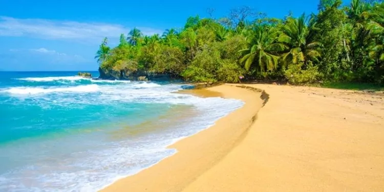 a tropical beach in panama. Expat Beach Town Panama