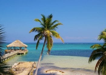 Quiet palm fringed beach in Belize