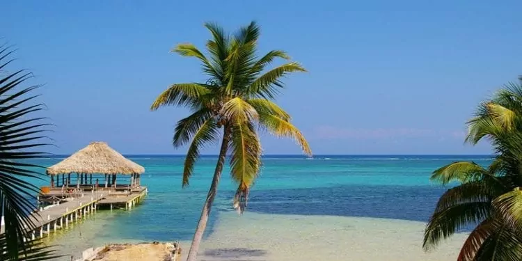 Quiet palm fringed beach in Belize
