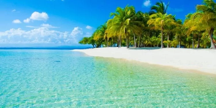 A quiet tropical beach in Belize
