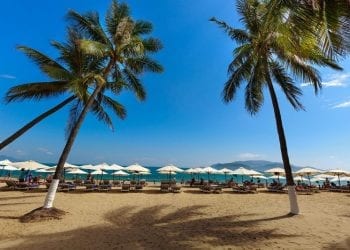 Palm trees at Nha Trang beach in Vietnam