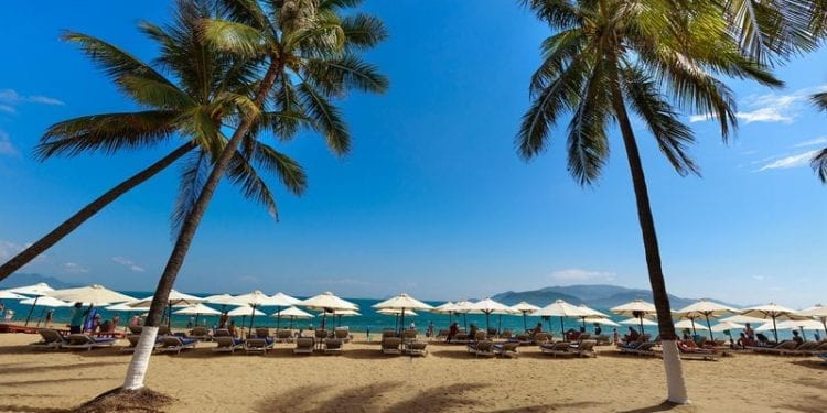 Palm trees at Nha Trang beach in Vietnam