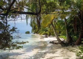 Caribbean beach in Panama