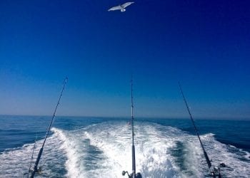 Offshore fishing boat with three rods