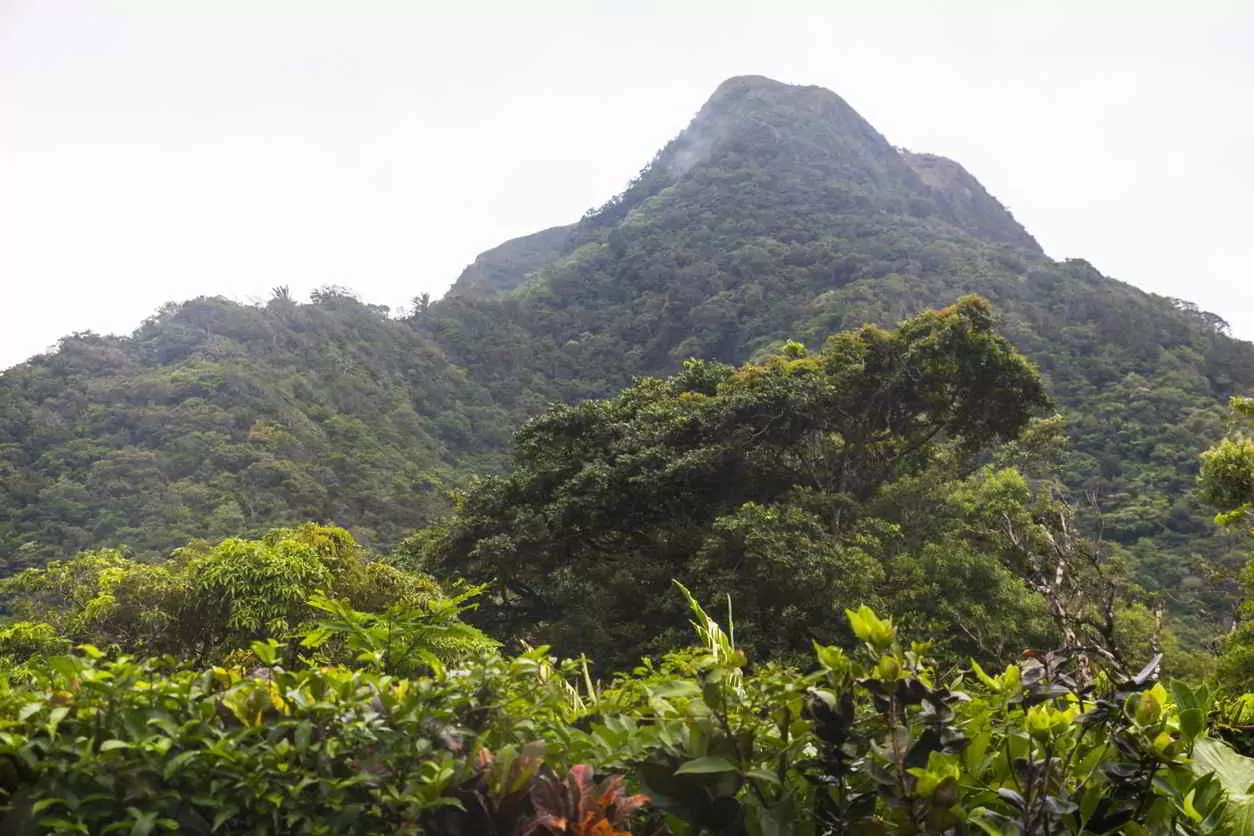 Expat Mountain Towns In Panama: Your 5 Best Options