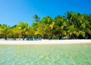 white sand beach in belize tropical