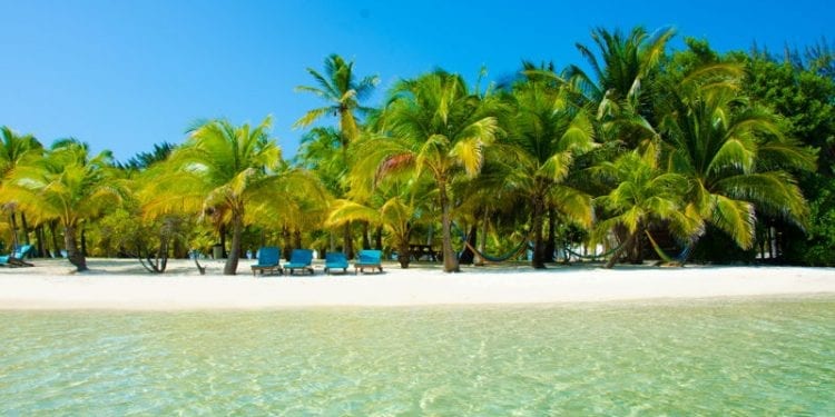 white sand beach in belize tropical