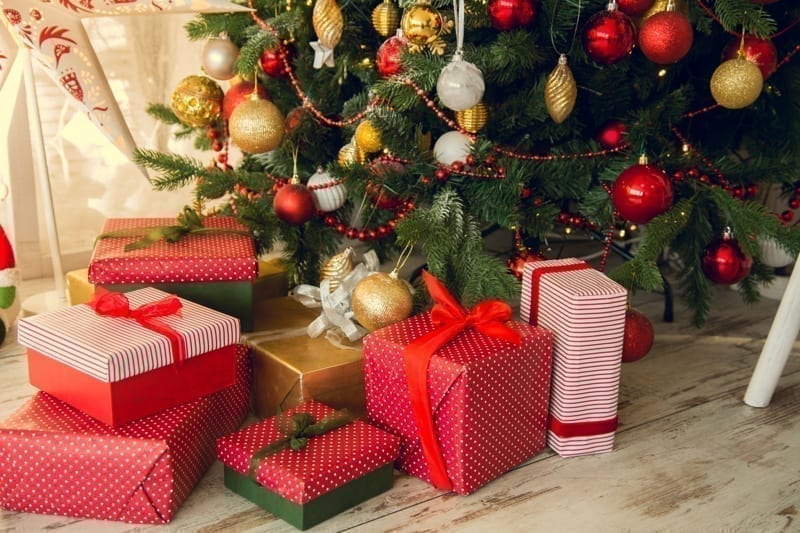 Gifts under a Christmas under spruce on the wooden floor.