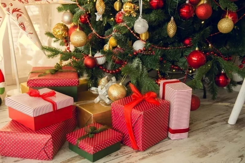 Gifts under a Christmas under spruce on the wooden floor.