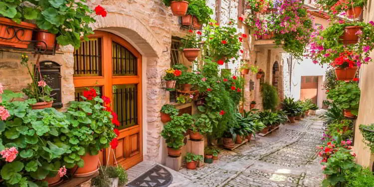 Street in small town in Umbria Italy in summer