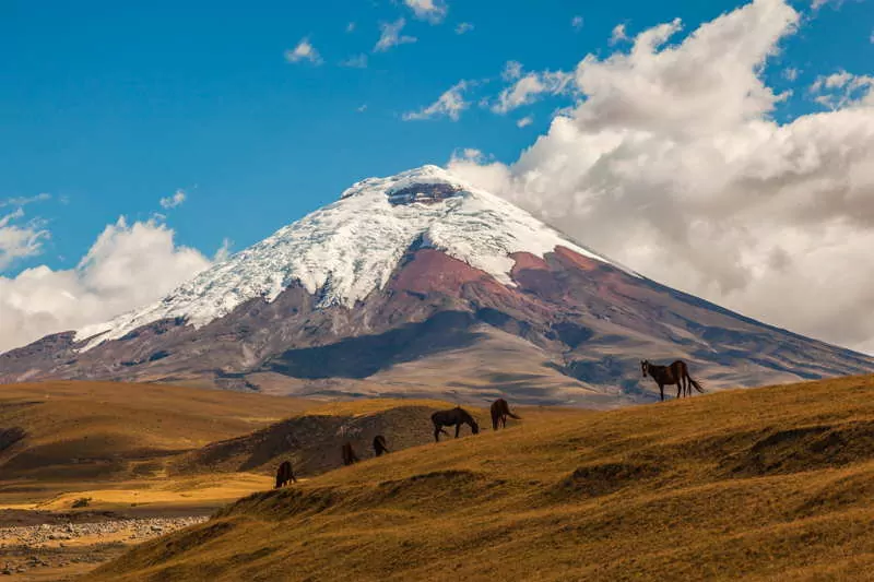 How To Move To Ecuador