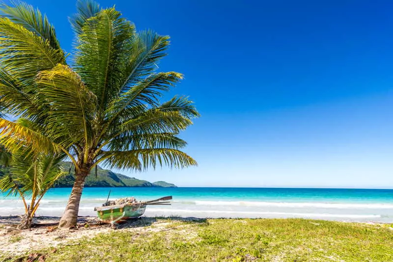 dominican republic quiet beach boat palm tree