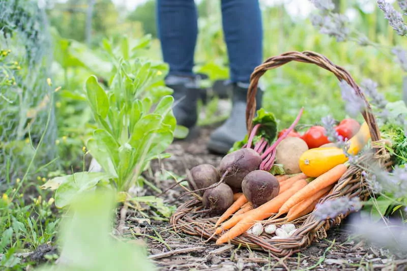 What Does It Mean To Be Self-Sufficient?