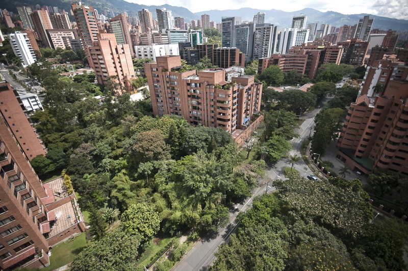 medellin apartment view trees buildings