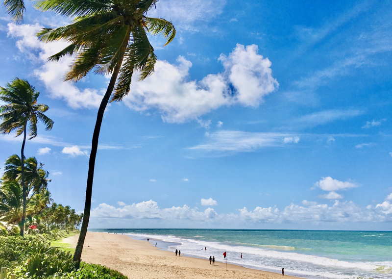 beach in brazil sunny day