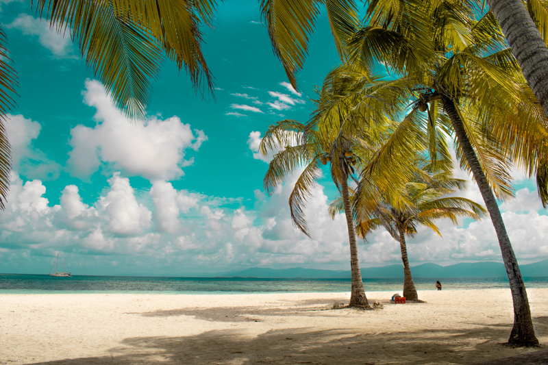 tropical beach palm trees panama