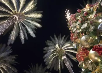 Christmas In Panama: A Tropical Twist On A Classic Tradition