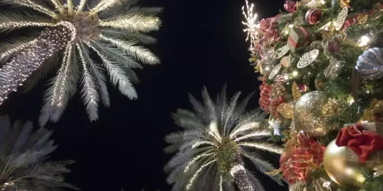 Christmas In Panama: A Tropical Twist On A Classic Tradition