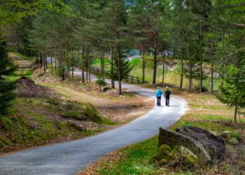 Couple walking in the park in the Italian mountains