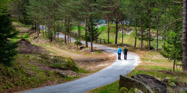 Couple walking in the park in the Italian mountains