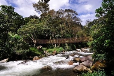 Parque Nacional de Amistad, Boquete, Panama.