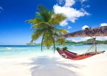 Perfect tropical paradise beach with palm trees and hammock 350x250