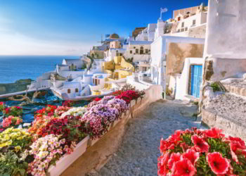 Scenic view of traditional cycladic houses on small street with flowers in foreground, Oia village, Santorini, Greece.